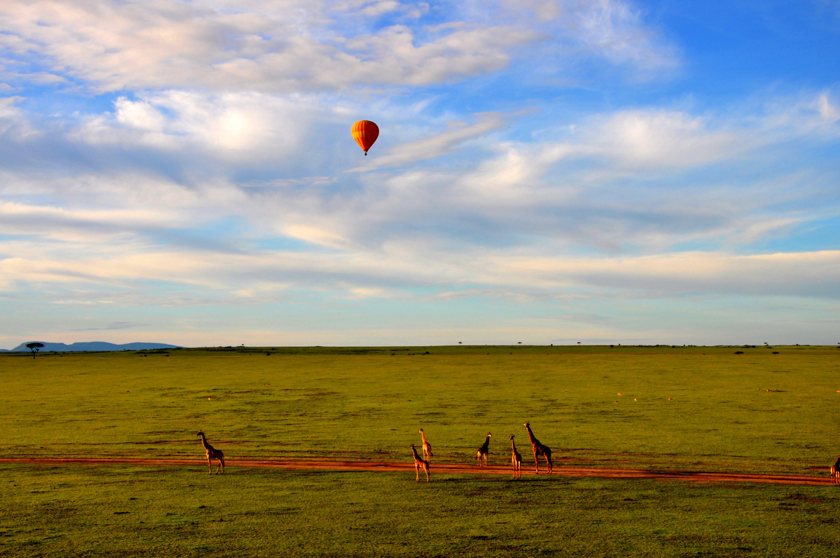 Balloon Safari