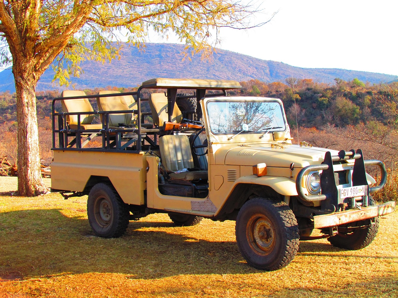 Safari Jeep
