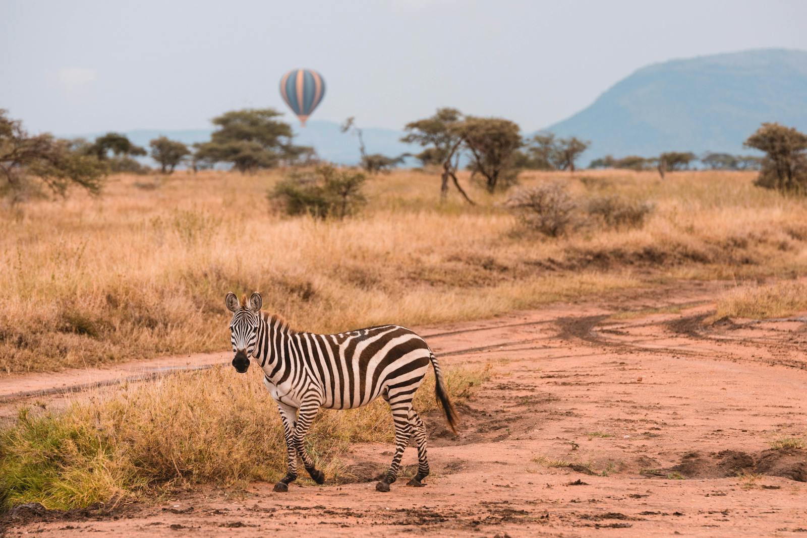 Tarangire National Park